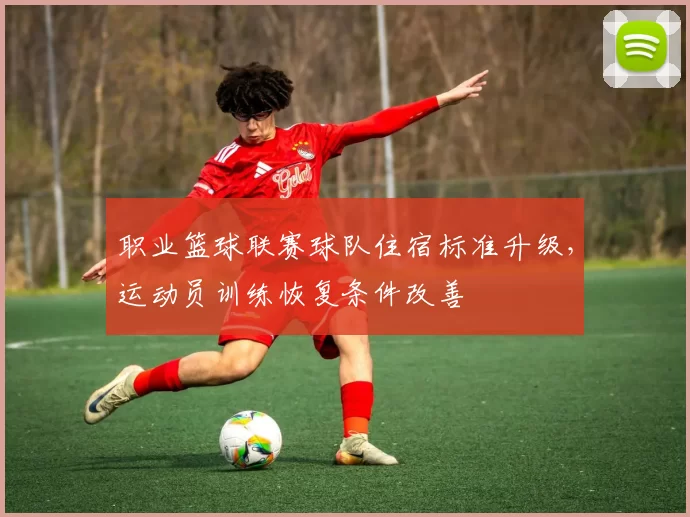 职业篮球联赛球队住宿标准升级，运动员训练恢复条件改善