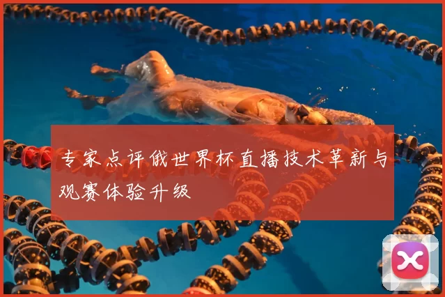 专家点评俄世界杯直播技术革新与观赛体验升级