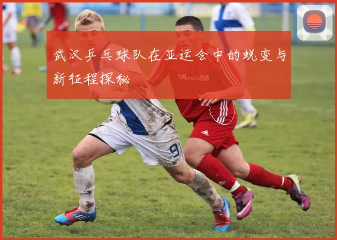 武汉乒乓球队在亚运会中的蜕变与新征程探秘