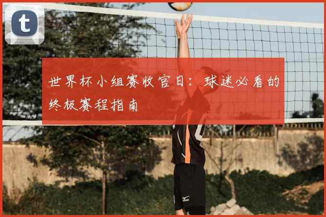 世界杯小组赛收官日:球迷必看的终极赛程指南