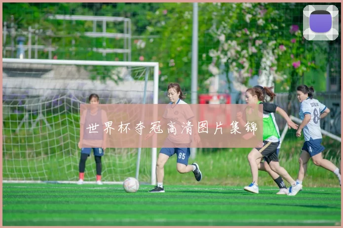 世界杯夺冠高清图片集锦
