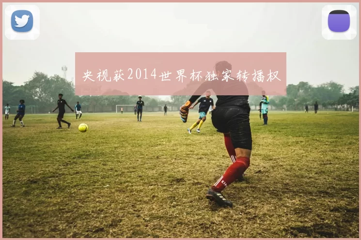 央视获2014世界杯独家转播权