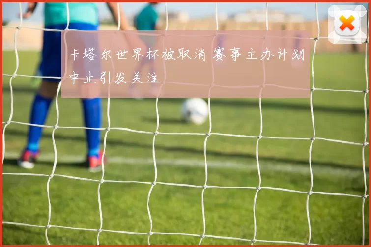 卡塔尔世界杯被取消 赛事主办计划中止引发关注