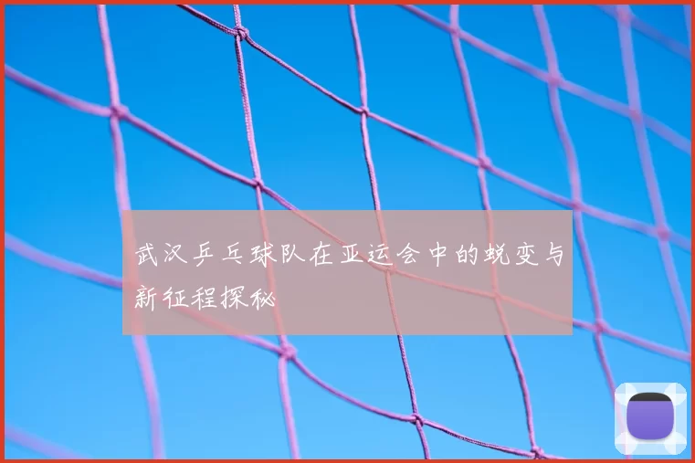 武汉乒乓球队在亚运会中的蜕变与新征程探秘