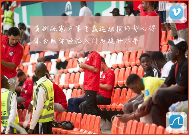 黄娜独家分享飞盘运动技巧与心得体会助你轻松入门与提升水平