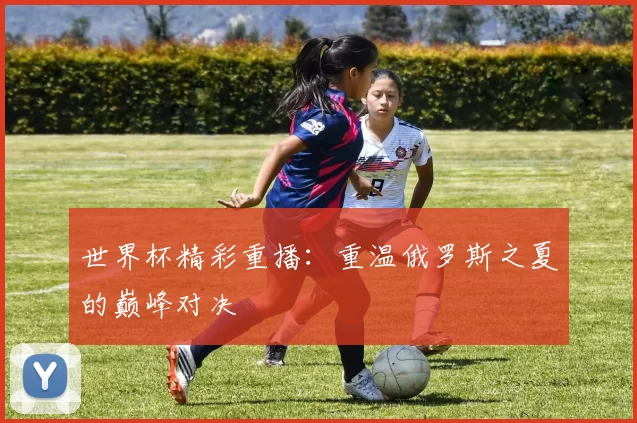 世界杯精彩重播:重温俄罗斯之夏的巅峰对决