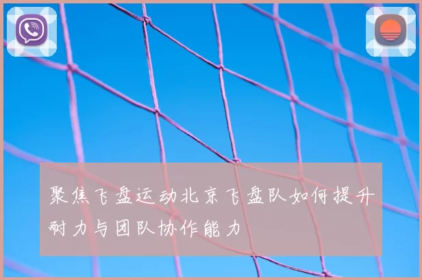 聚焦飞盘运动北京飞盘队如何提升耐力与团队协作能力